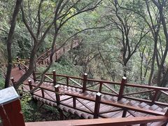 -大岭沟猕猴桃谷风景区
