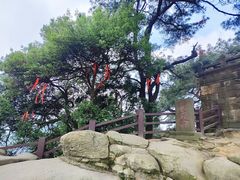 -缙云山景区