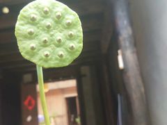 -前童古镇