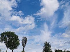 -两河城市森林公园