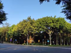 -华南师范大学(广州大学城校区)