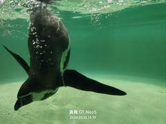 -北戴河圣蓝海洋公园