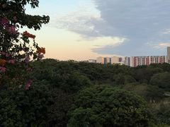-东莞植物园