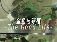 -西湖文化广场