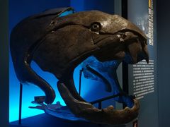 -湖南省地质博物馆