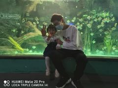 -常州海昌海洋探索馆