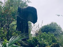-南山植物园