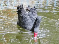 -济南南郊宾馆