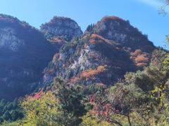 -鲁山国家森林公园