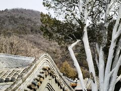 -潭柘寺景区