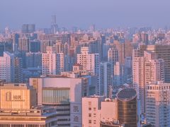 -上海波特曼丽思卡尔顿酒店