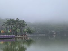 -西樵山风景名胜区-天湖公园