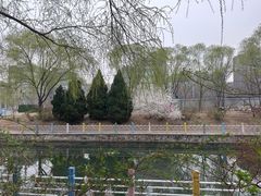 -红色盛宴酒楼(科丰桥店)
