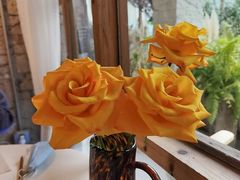 -Jo's Garden