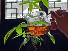 -普洱茶府(博乐广场店)