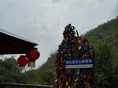 -西双版纳原始森林公园