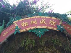 -瑞丽独树成林风景区