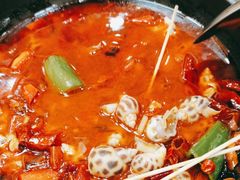 -晶莹品鲜.顺德鱼生.特色桑拿菜