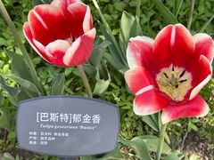 -国家植物园
