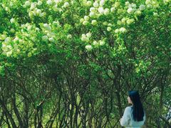 -蠡湖大桥公园
