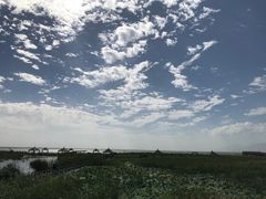 -哈素海
