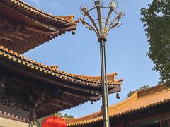 -亭林园-华藏寺