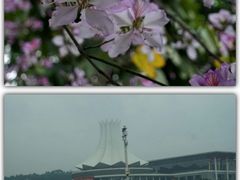 -南宁东站