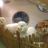 假日带娃新去处—宠物主题亲子体验馆