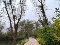 -西溪国家湿地公园