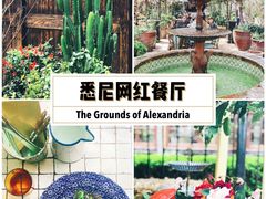 -The Grounds of Alexandria