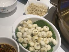 -烹然四季椰子鸡火锅(姚家园万象汇店)