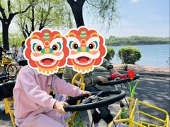 -丁香湖公园