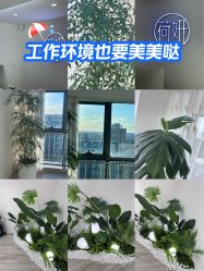 -HEYAN荷妍专业脱毛连锁机构