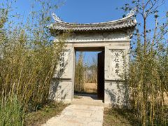 -三垟湿地