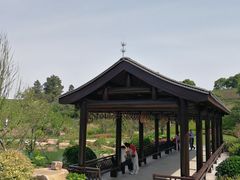 -游子山休闲旅游区
