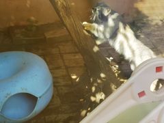 -青藏高原野生动物园