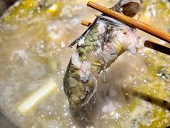 -石锅苗苗鱼(武汉首店)