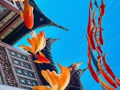 -豫园