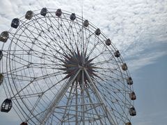 -奉贤海滩