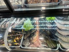 -海埂温馨饭店(金海荟·商业中心店)