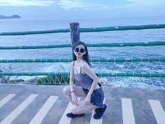 -广东惠东海龟国家级自然保护区