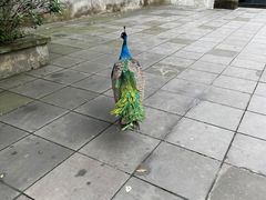 -都江堰普照寺