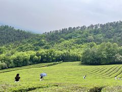 -敬亭山风景名胜区