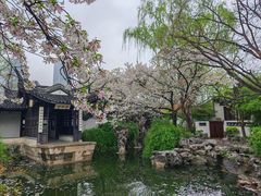 -巡塘古镇