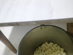 -徐嘉赫龙虾馆