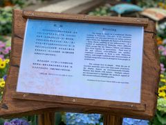 -九龙公园