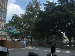 -OLD TREE老树咖啡·西餐厅(台山人工湖店)