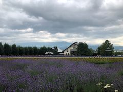 -富田农场