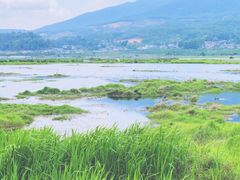 -腾冲北海湿地