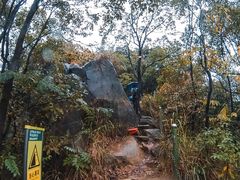 -南山植物园